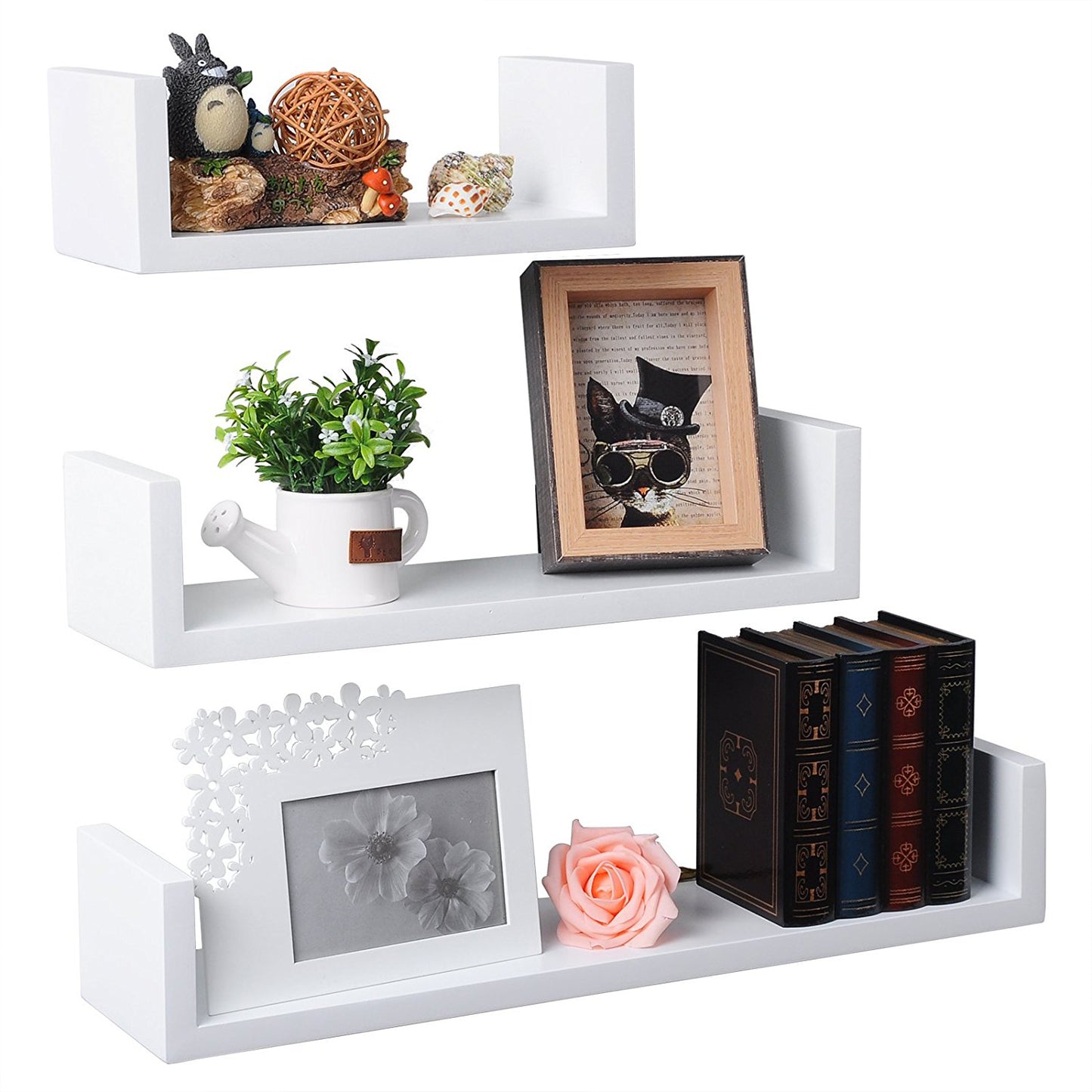 Modern Wall-Mounted Floating Shelf
