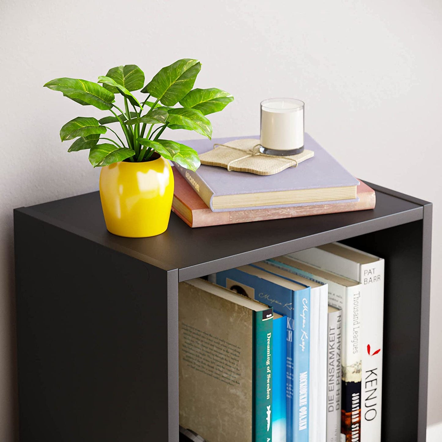Modern 2-Tier Storage Unit with Shelves - Black