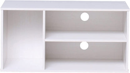 Modern TV Cabinet with Storage and Shelves