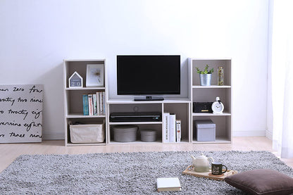 Modern TV Cabinet with Storage and Shelves